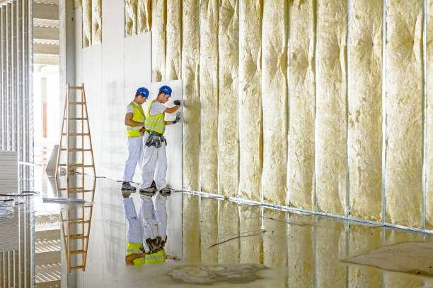 Best Attic Insulation Installation  in Beresford, SD